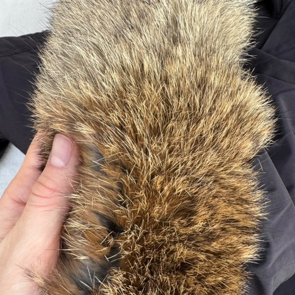 Hugo Boss Orange Belted Puffer Coat with real fur hood - Picture 6 of 16